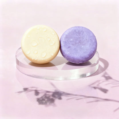 Lavander Fields Shampoo & Conditioner Bundle