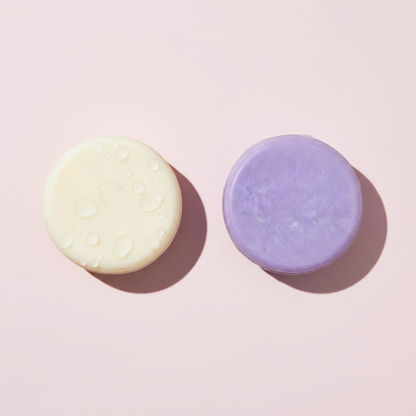 Lavander Fields Shampoo & Conditioner Bundle